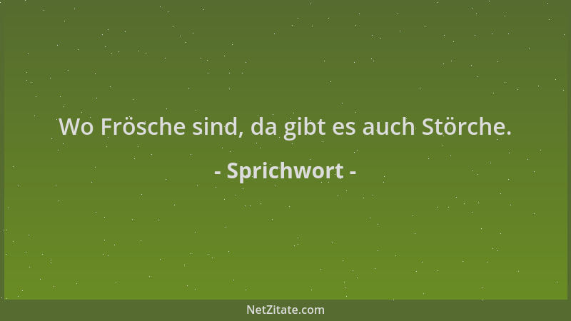 Sprichwort - Wo Frösche sind, da gibt es auch Störche....