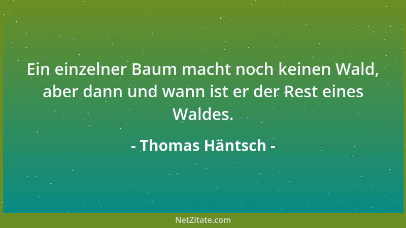Thomas Häntsch - Ein einzelner Baum macht noch keinen Wald, aber dann und wann ist er der Rest eines Waldes....