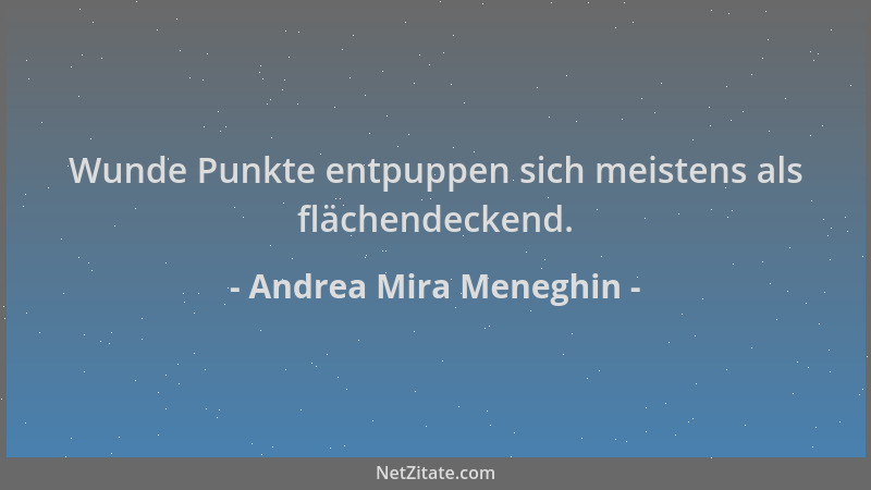 Andrea Mira Meneghin - Wunde Punkte entpuppen sich meistens als flächendeckend....