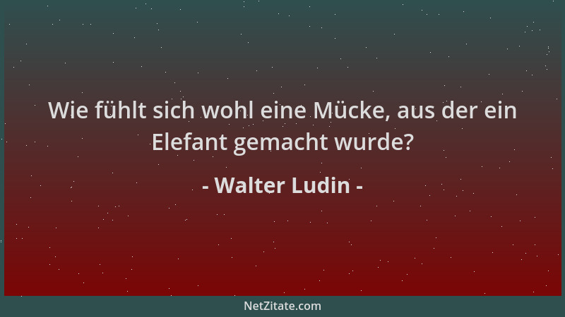 Walter Ludin - Wie fühlt sich wohl eine Mücke, aus der ein Elefant gemacht wurde?...