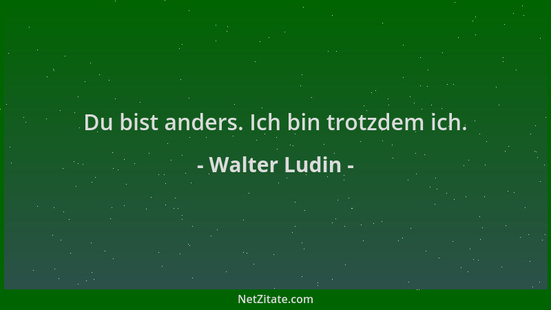 Walter Ludin - Du bist anders. Ich bin trotzdem ich....