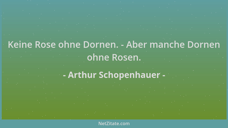 Arthur Schopenhauer - Keine Rose ohne Dornen. - Aber manche Dornen ohne Rosen....