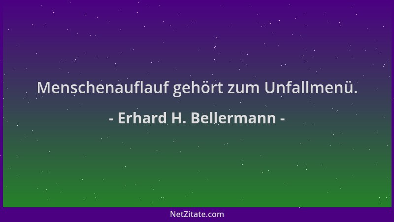 Erhard H. Bellermann - Menschenauflauf gehört zum Unfallmenü....