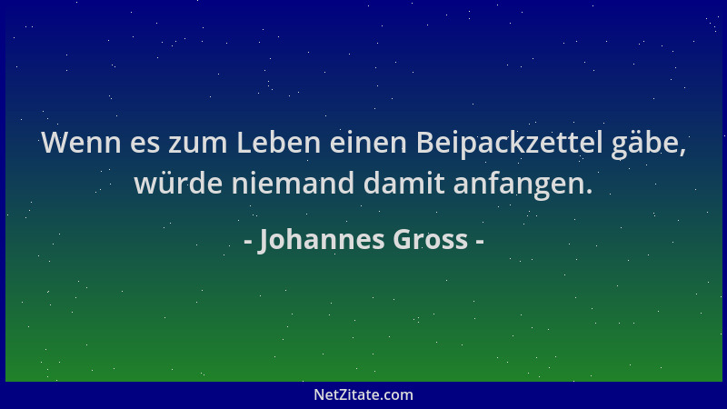 Johannes Gross - Wenn es zum Leben einen Beipackzettel gäbe, würde niemand damit anfangen....