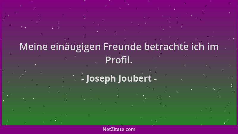 Joseph Joubert - Meine einäugigen Freunde betrachte ich im Profil....