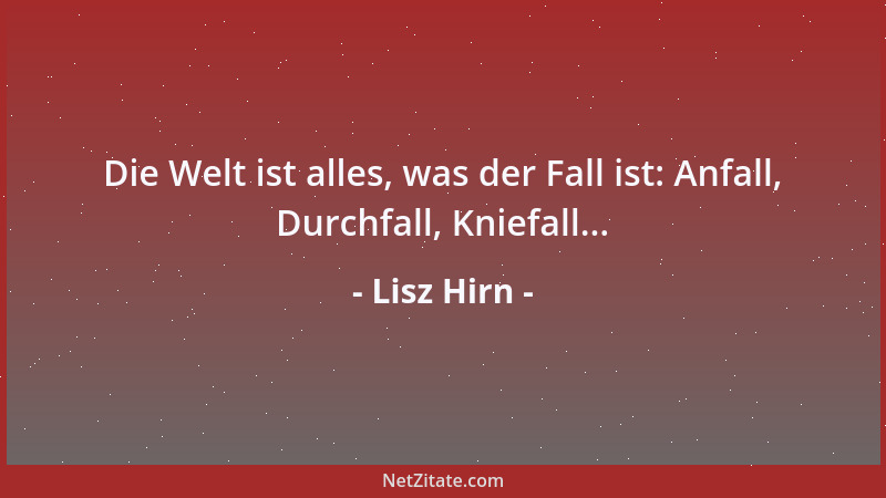 Lisz Hirn - Die Welt ist alles, was der Fall ist: Anfall, Durchfall, Kniefall......