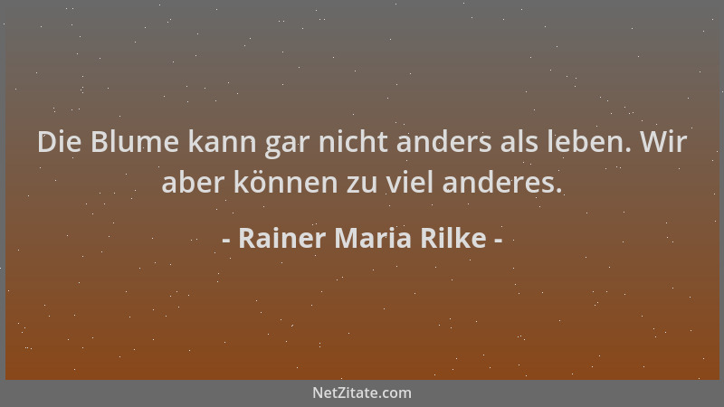 Rainer Maria Rilke - Die Blume kann gar nicht anders als leben. Wir aber können zu viel anderes....