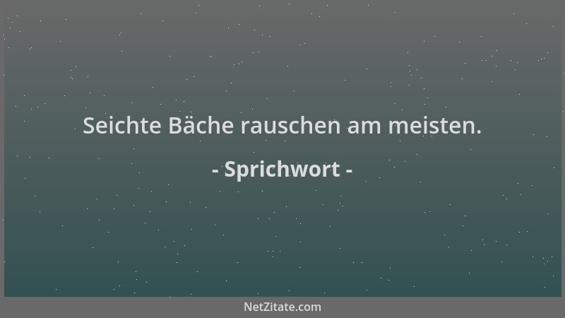 Sprichwort - Seichte Bäche rauschen am meisten....