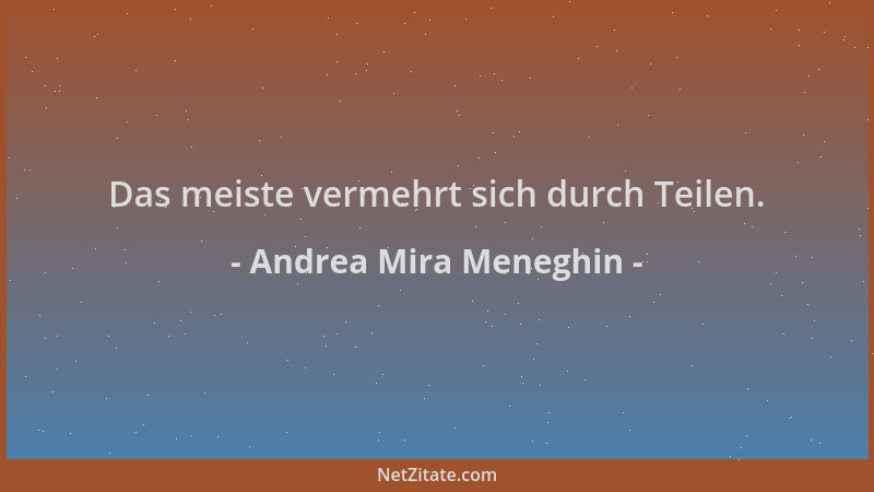Andrea Mira Meneghin - Das meiste vermehrt sich durch Teilen....