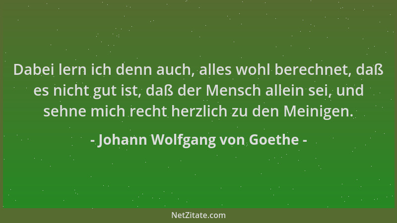Johann Wolfgang von Goethe - Dabei lern ich denn auch, alles wohl berechnet, daß es nicht gut ist, daß der Mensch allein se...