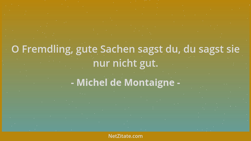 Michel de Montaigne - O Fremdling, gute Sachen sagst du, du sagst sie nur nicht gut....