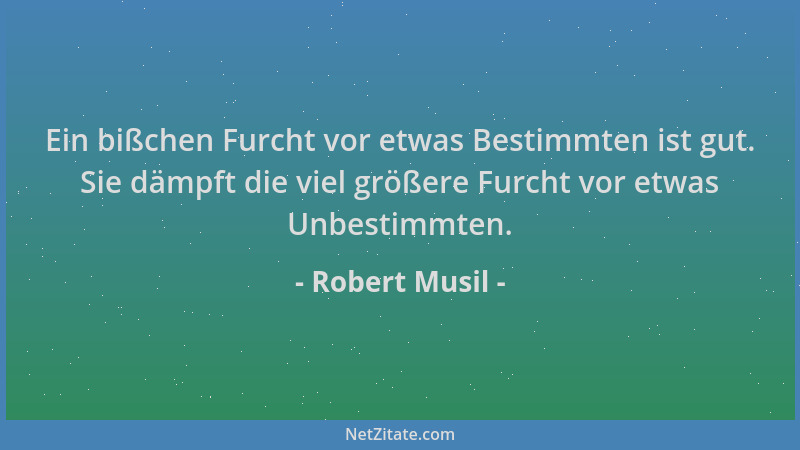 Robert Musil - Ein bißchen Furcht vor etwas Bestimmten ist gut. Sie dämpft die viel größere Furcht vor etwas Unbestimmten....