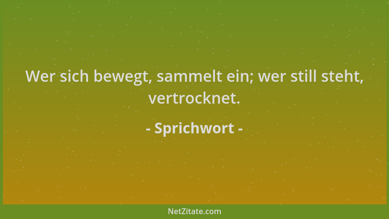Sprichwort - Wer sich bewegt, sammelt ein; wer still steht, vertrocknet....