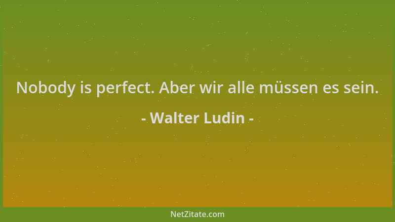 Walter Ludin - Nobody is perfect. Aber wir alle müssen es sein....