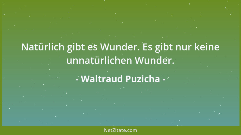 Waltraud Puzicha - Natürlich gibt es Wunder. Es gibt nur keine unnatürlichen Wunder....
