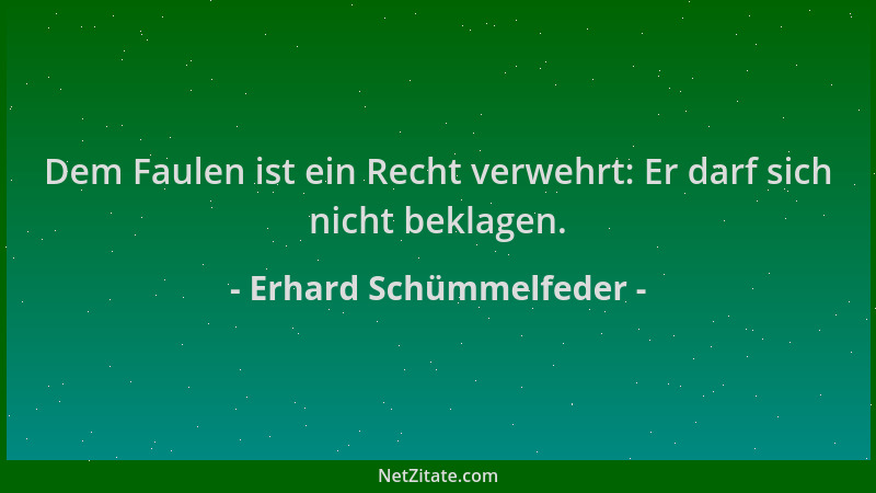 Erhard Schümmelfeder - Dem Faulen ist ein Recht verwehrt: Er darf sich nicht beklagen....