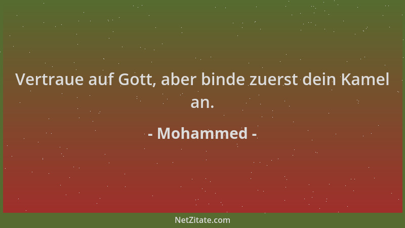 Mohammed - Vertraue auf Gott, aber binde zuerst dein Kamel an....