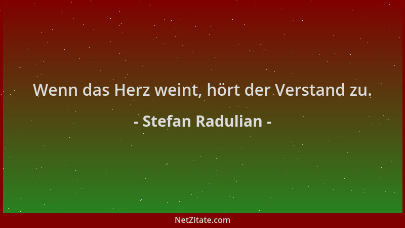 Stefan Radulian - Wenn das Herz weint, hört der Verstand zu....