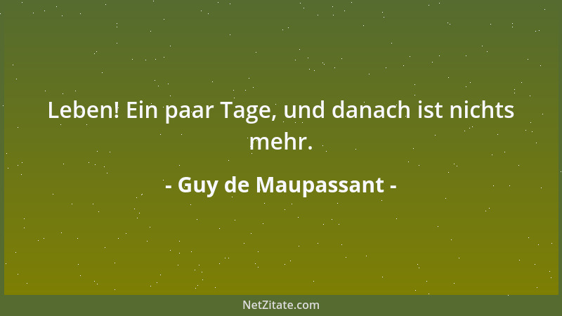 Guy de Maupassant - Leben! Ein paar Tage, und danach ist nichts mehr....