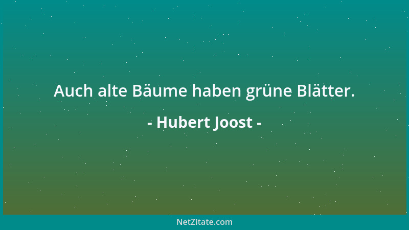 Hubert Joost - Auch alte Bäume haben grüne Blätter....
