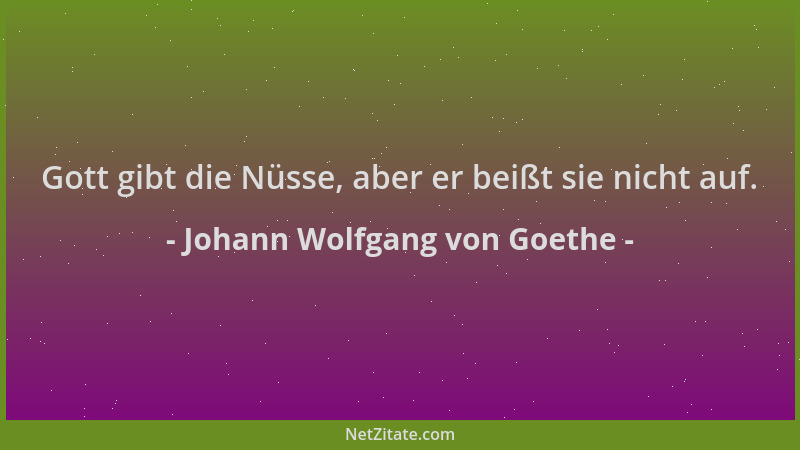 Johann Wolfgang von Goethe - Gott gibt die Nüsse, aber er beißt sie nicht auf....
