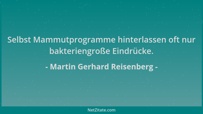 Martin Gerhard Reisenberg - Selbst Mammutprogramme hinterlassen oft nur bakteriengroße Eindrücke....