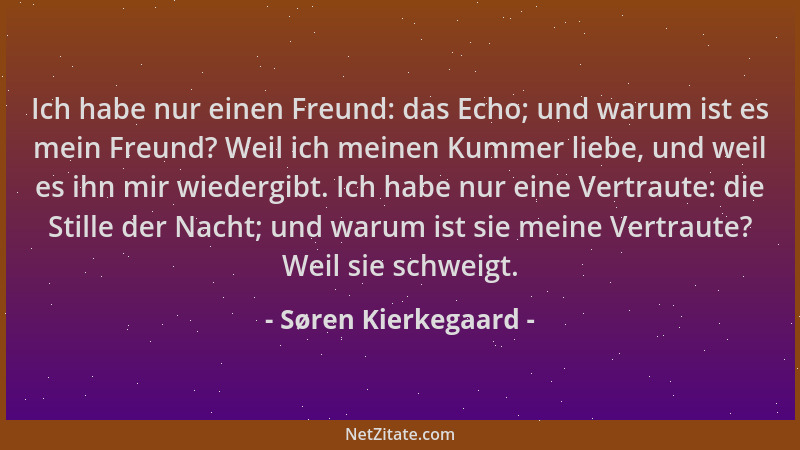 Søren Kierkegaard - Ich habe nur einen Freund: das Echo; und warum ist es mein Freund? Weil ich meinen Kummer liebe, und we...