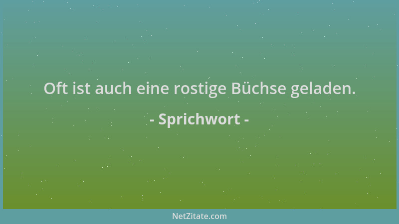 Sprichwort - Oft ist auch eine rostige Büchse geladen....