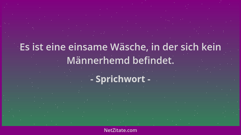Sprichwort - Es ist eine einsame Wäsche, in der sich kein Männerhemd befindet....