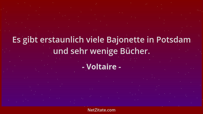 Voltaire - Es gibt erstaunlich viele Bajonette in Potsdam und sehr wenige Bücher....