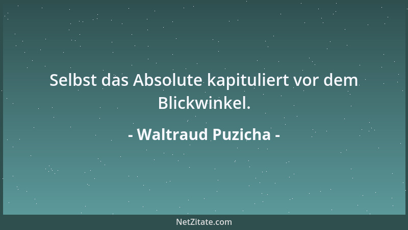 Waltraud Puzicha - Selbst das Absolute kapituliert vor dem Blickwinkel....