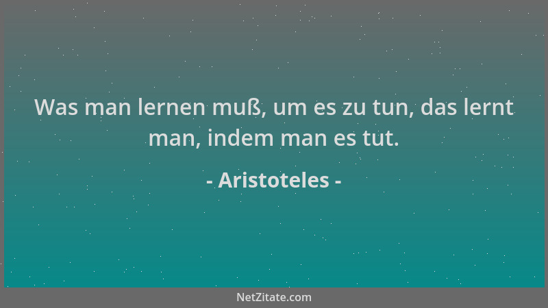Aristoteles - Was man lernen muß, um es zu tun, das lernt man, indem man es tut....