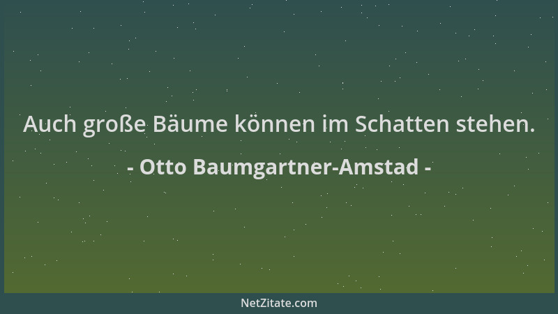 Otto Baumgartner-Amstad - Auch große Bäume können im Schatten stehen....