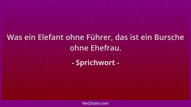 Sprichwort - Was ein Elefant ohne Führer, das ist ein Bursche ohne Ehefrau....