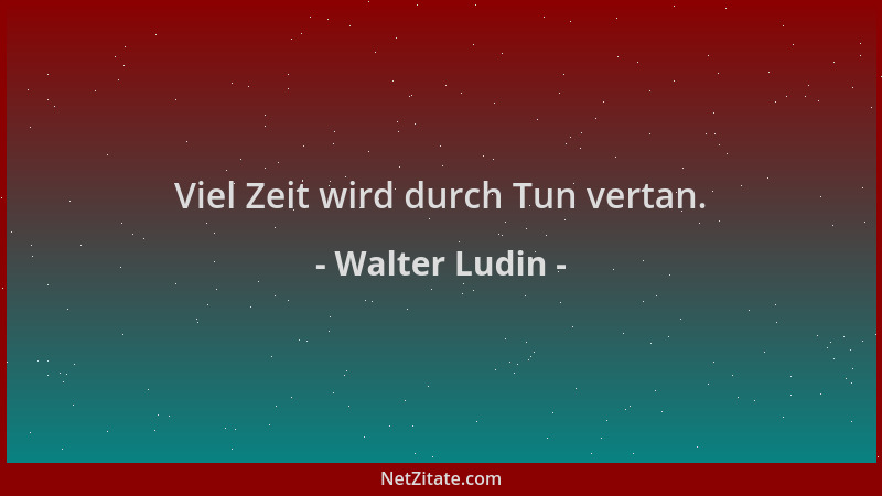 Walter Ludin - Viel Zeit wird durch Tun vertan....