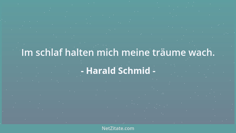 Harald Schmid - Im schlaf halten mich meine träume wach....