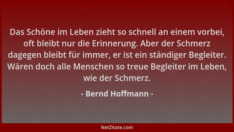 Bernd Hoffmann - Das Schöne im Leben zieht so schnell an einem vorbei, oft bleibt nur die Erinnerung. Aber der Schmerz dage...