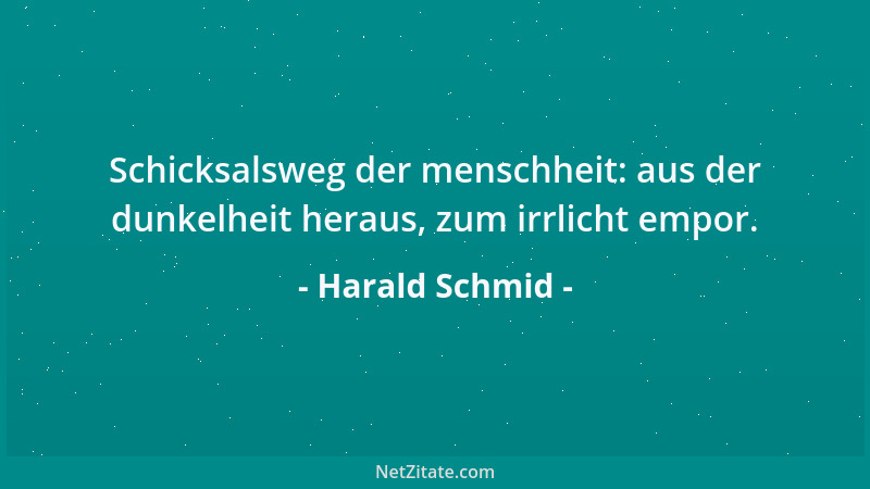 Harald Schmid - Schicksalsweg der menschheit: aus der dunkelheit heraus, zum irrlicht empor....