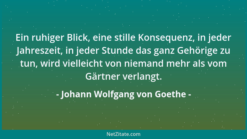 Johann Wolfgang von Goethe - Ein ruhiger Blick, eine stille Konsequenz, in jeder Jahreszeit, in jeder Stunde das ganz Gehör...