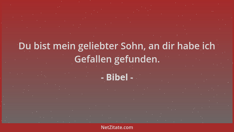 Bibel - Du bist mein geliebter Sohn, an dir habe ich Gefallen gefunden....