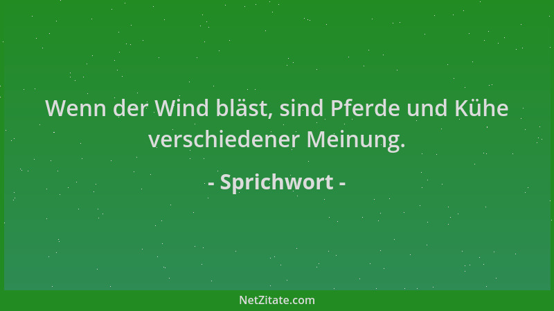 Sprichwort - Wenn der Wind bläst, sind Pferde und Kühe verschiedener Meinung....