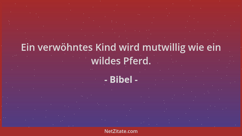Bibel - Ein verwöhntes Kind wird mutwillig wie ein wildes Pferd....