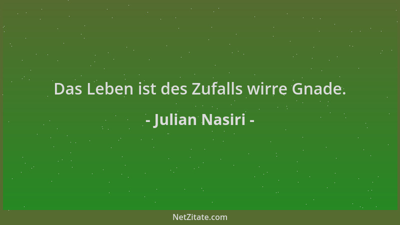 Julian Nasiri - Das Leben ist des Zufalls wirre Gnade....
