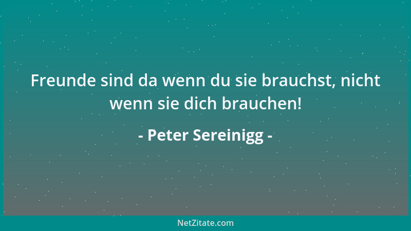 Peter Sereinigg - Freunde sind da wenn du sie brauchst, nicht wenn sie dich brauchen!...