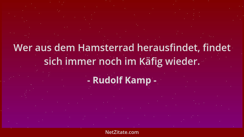 Rudolf Kamp - Wer aus dem Hamsterrad herausfindet, findet sich immer noch im Käfig wieder....