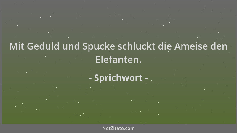 Sprichwort - Mit Geduld und Spucke schluckt die Ameise den Elefanten....