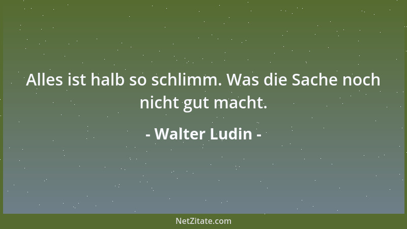 Walter Ludin - Alles ist halb so schlimm. Was die Sache noch nicht gut macht....