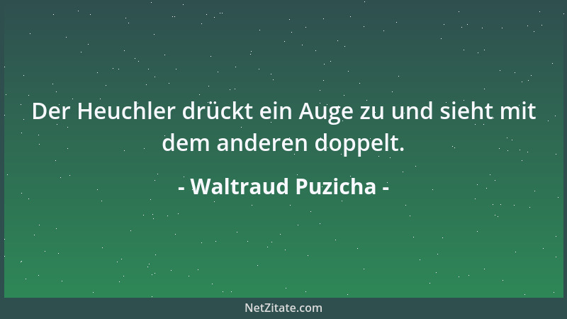 Waltraud Puzicha - Der Heuchler drückt ein Auge zu und sieht mit dem anderen doppelt....