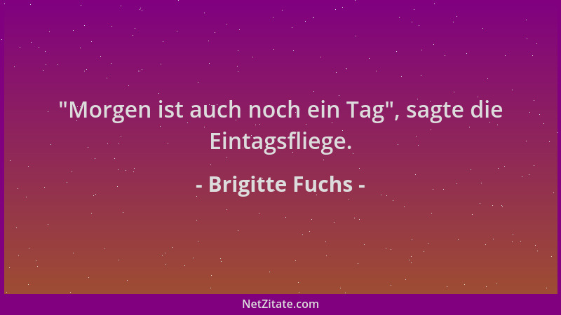 Brigitte Fuchs -  "Morgen ist auch noch ein Tag ", sagte die Eintagsfliege....