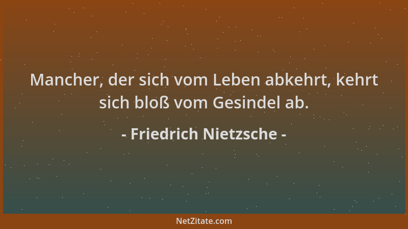 Friedrich Nietzsche - Mancher, der sich vom Leben abkehrt, kehrt sich bloß vom Gesindel ab....